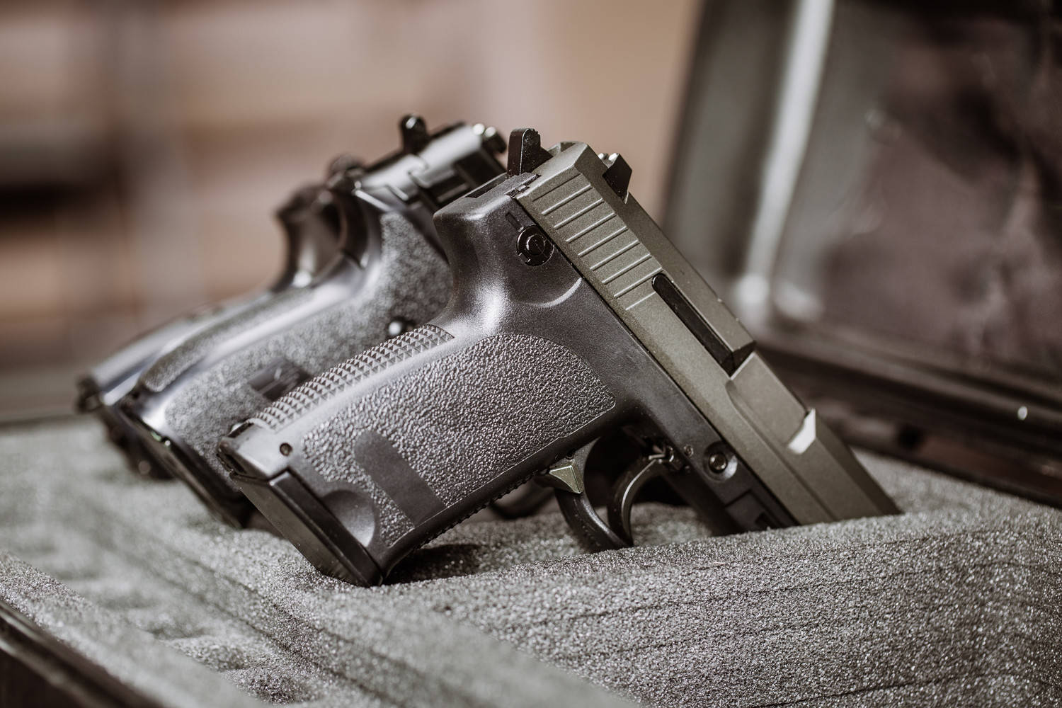 Weapon and Multipurpose Safes
